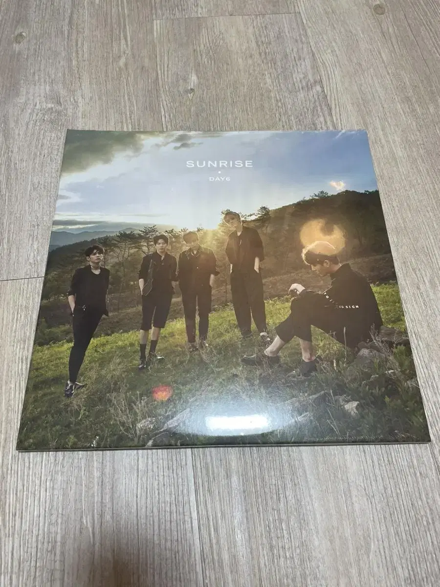 데이식스 SUNRISE LP 미개봉